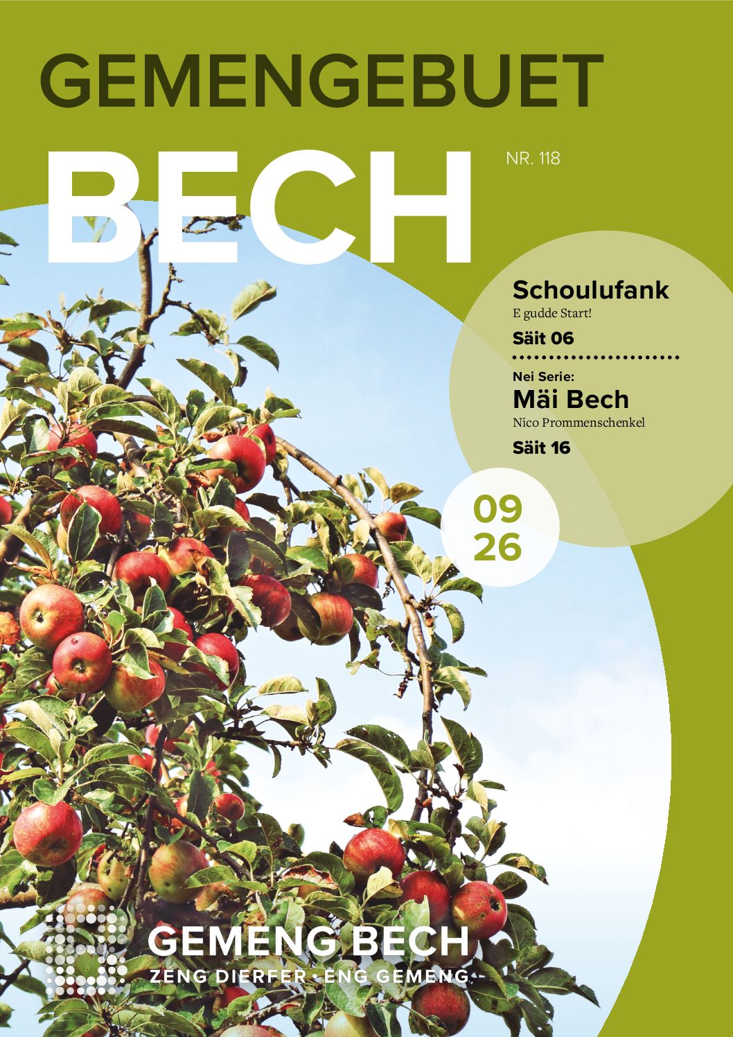Gemengebuet Nr.118 – LU